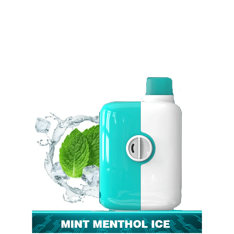 Mr Fog Switch Disposables Mr Fog Switch 5500 Disposable-Mint Menthol Ice-Morden Vape SuperStore