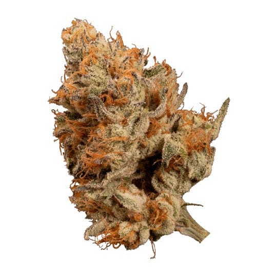 Ogen Terpenology Flower 28g Bacio Punch #8 by Ogen Indica Flower-Morden Vape SuperStore & Cannabis