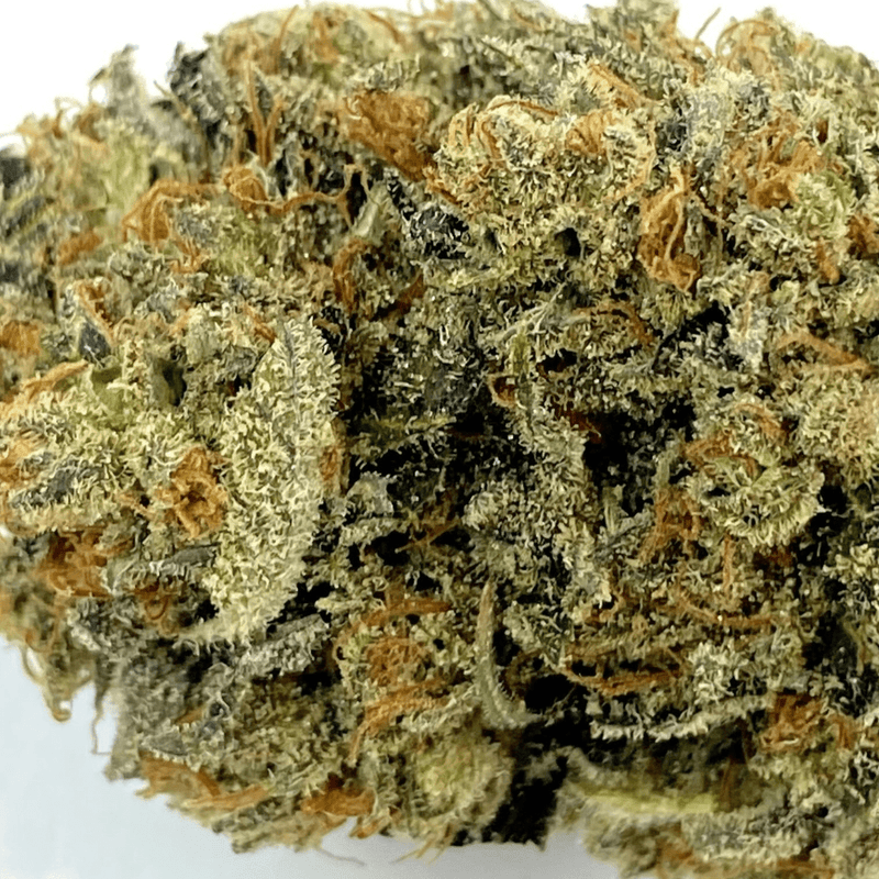 Paradise Cannabis Flower 3.5g Ksmorz by Paradise Cannabis-Morden Cannabis and Bong Shop, Manitoba Canada